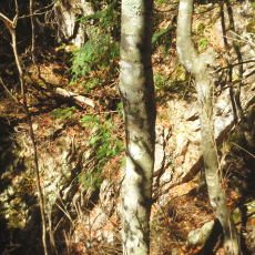 161029_p24.jpg