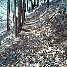 180329_p34.jpg