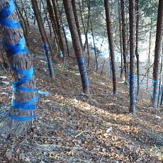 190302_p11.jpg