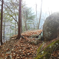 190302_p23.jpg