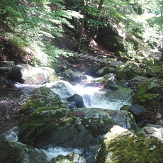 190614_p01.jpg