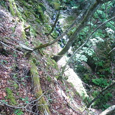 190614_p15.jpg