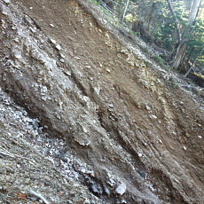 191104_p23.jpg