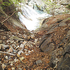 191104_p49.jpg