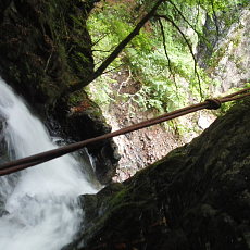 200621_p03.jpg