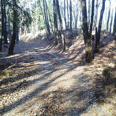 201206_p25.jpg