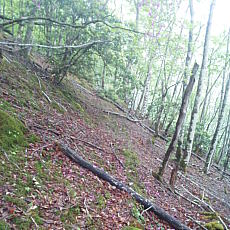 210522_p24.jpg