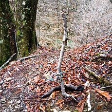 220416_p06.jpg