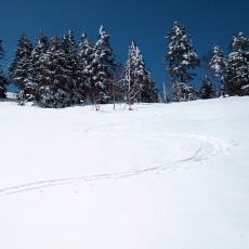 220513_p14.jpg