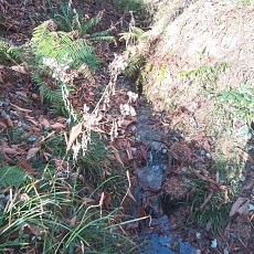 221112_p15.jpg