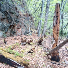 230502_p01.jpg