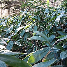 241112_p22.jpg