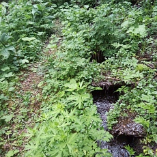 240612_p26.jpg