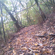121027_p01.jpg