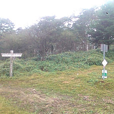 130914_p01.jpg
