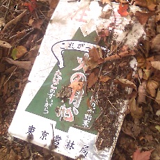 141011_p17.jpg