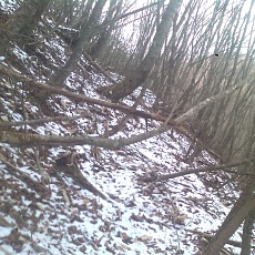 141210_p11.jpg