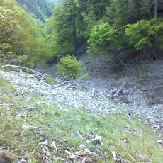 150523_p10.jpg