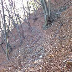 151230_p12.jpg