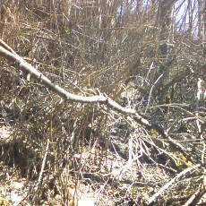 160419-02_p13.jpg