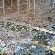 170320_p05.jpg