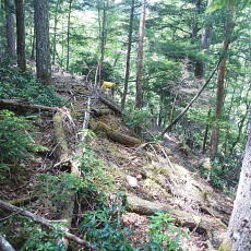 170617_p21.jpg