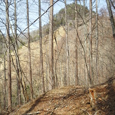 180329_p17.jpg