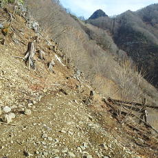 180412_p17.jpg