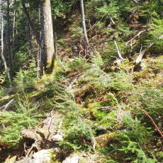 180428_p12.jpg