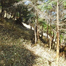 180428_p25.jpg