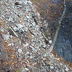 191104_p43.jpg
