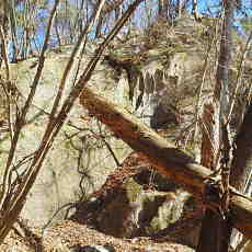 201220_p17.jpg