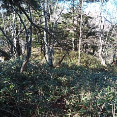 221112_p28.jpg