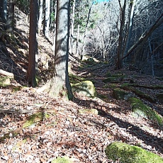 221127_p25.jpg