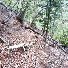 230502_p19.jpg