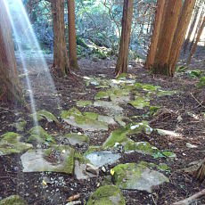 211020_p19.jpg