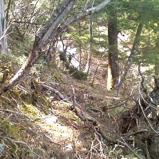 140504_p20.jpg