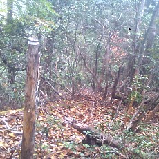 141004_p15.jpg