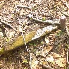 150522_p04.jpg