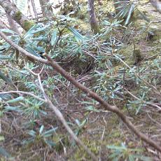 150522_p19.jpg