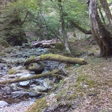 150605_p13.jpg