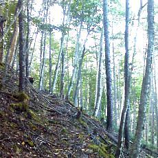 150919_p04.jpg