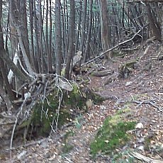 151010_p02.jpg