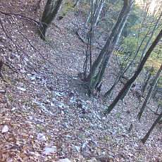 151103_p08.jpg