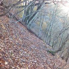151103_p13.jpg