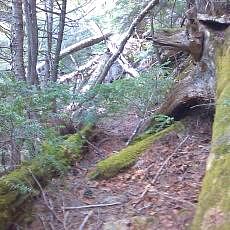 160603_p30.jpg