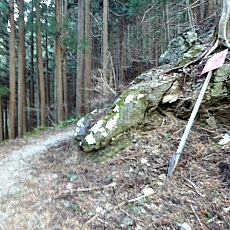 170203_p21.jpg