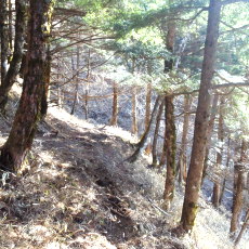 180422_p07.jpg