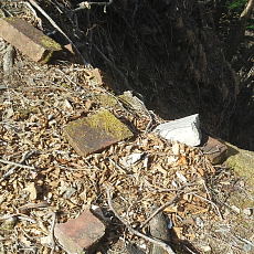190420_p08.jpg