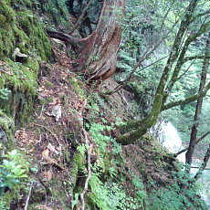 200621_p06.jpg
